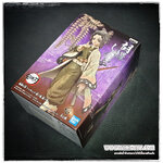 ชิโนบุ สีแบบซีเปีย จากเรื่องดาบพิฆาตอสูร (ของแท้)