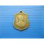 เหรียญเสมา ครบ3รอบ ปี2506 รัชกาลที่9 (2467)