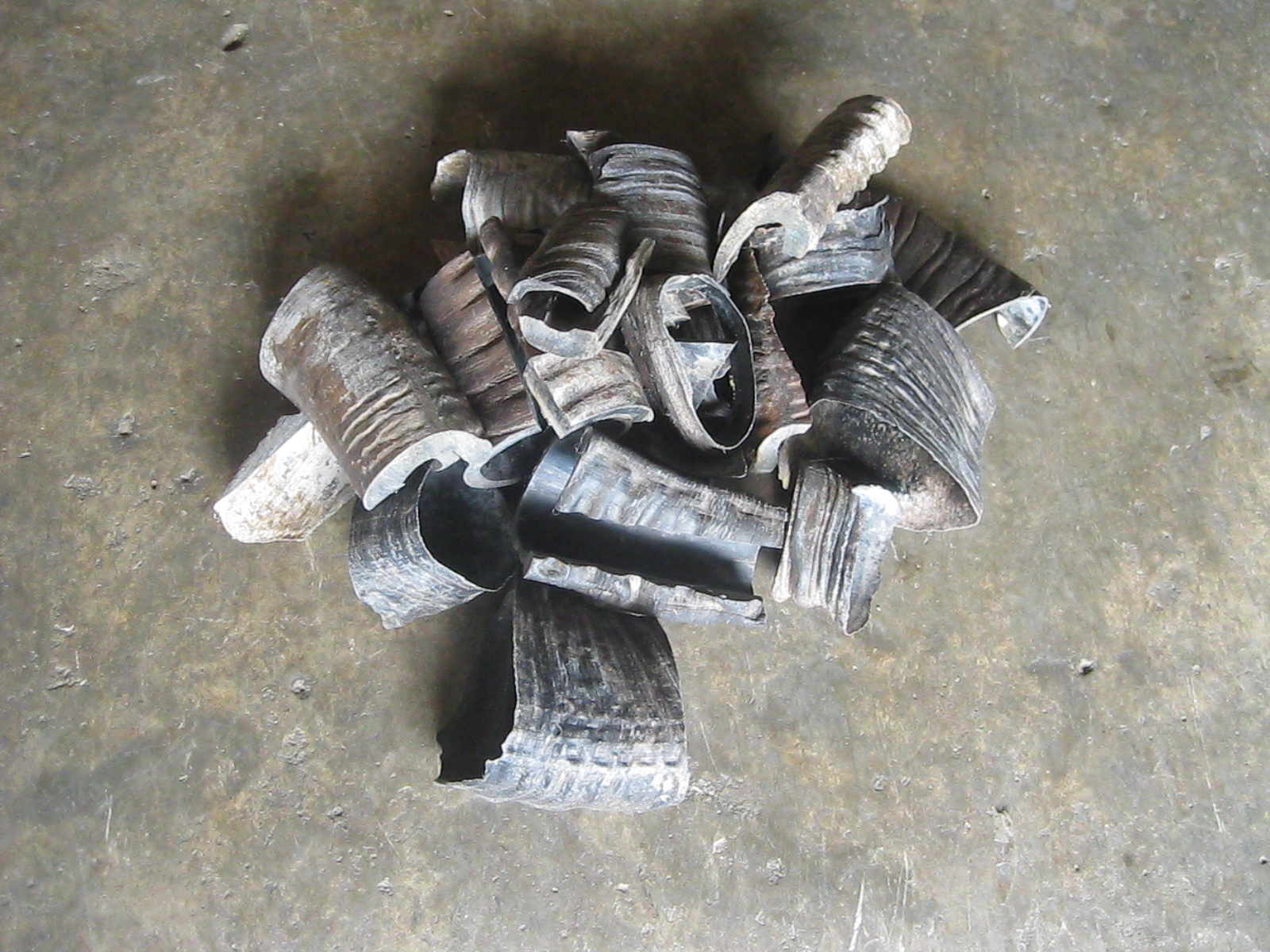 เขาควาย หั่นเป็นท่อน (4904)