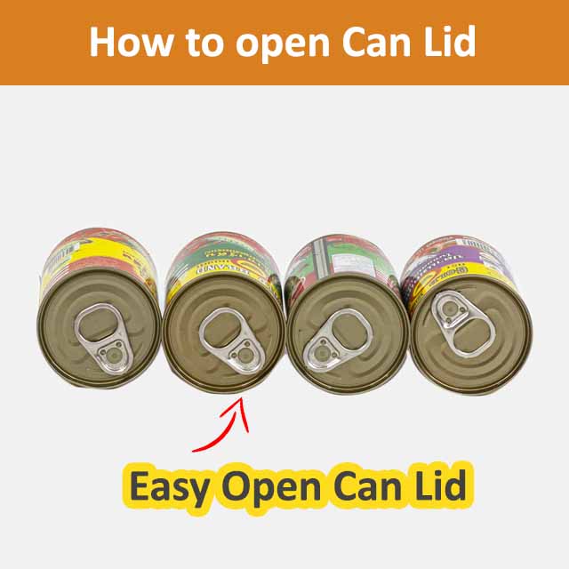 Caned fish mackerel size 155 g - Pla two