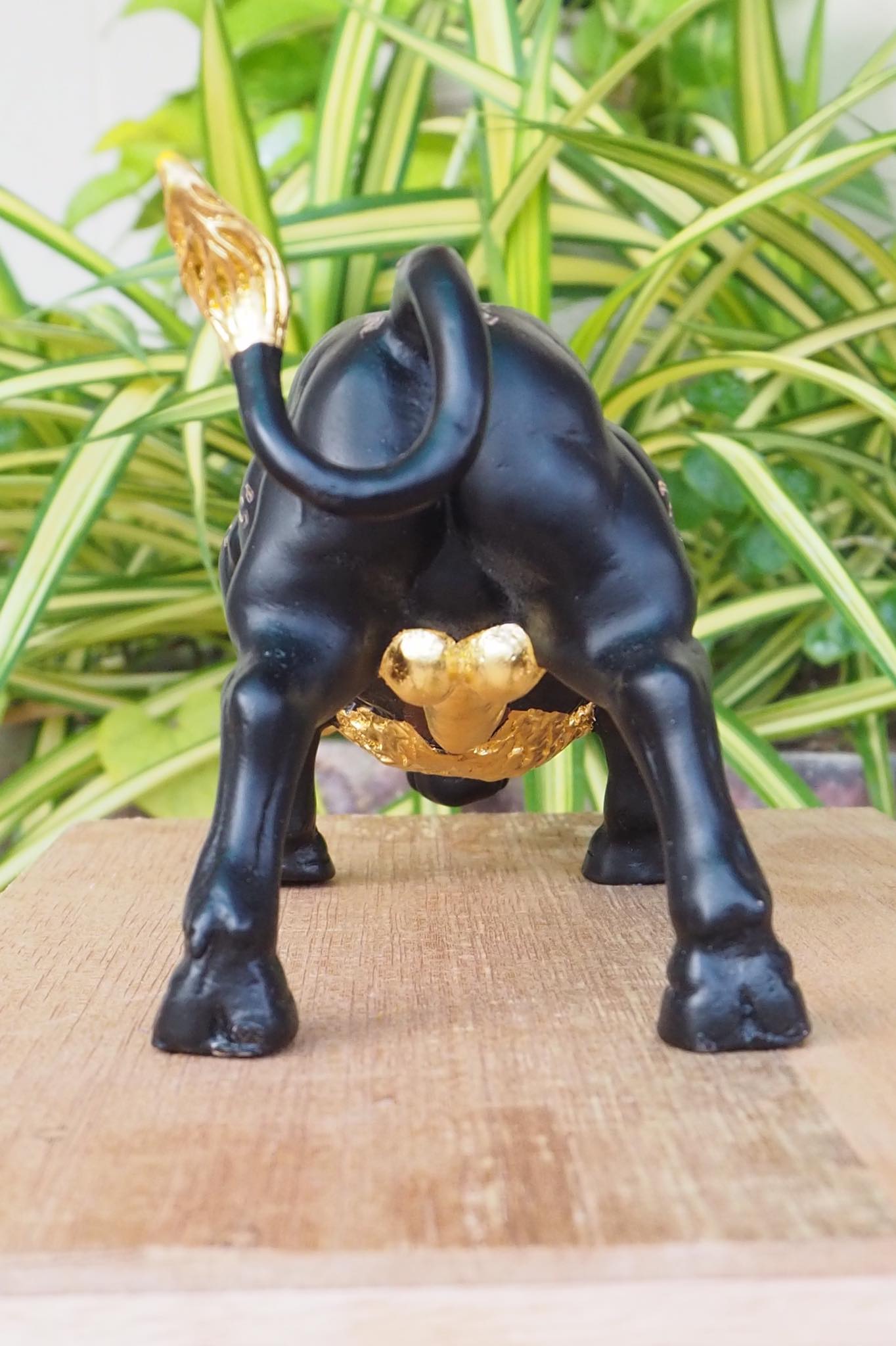 กระทิงมหาอำนาจ ขนาดบูชา จ้าวทองดำ วัดบ้านอ้อ จ.นครราชสีมา