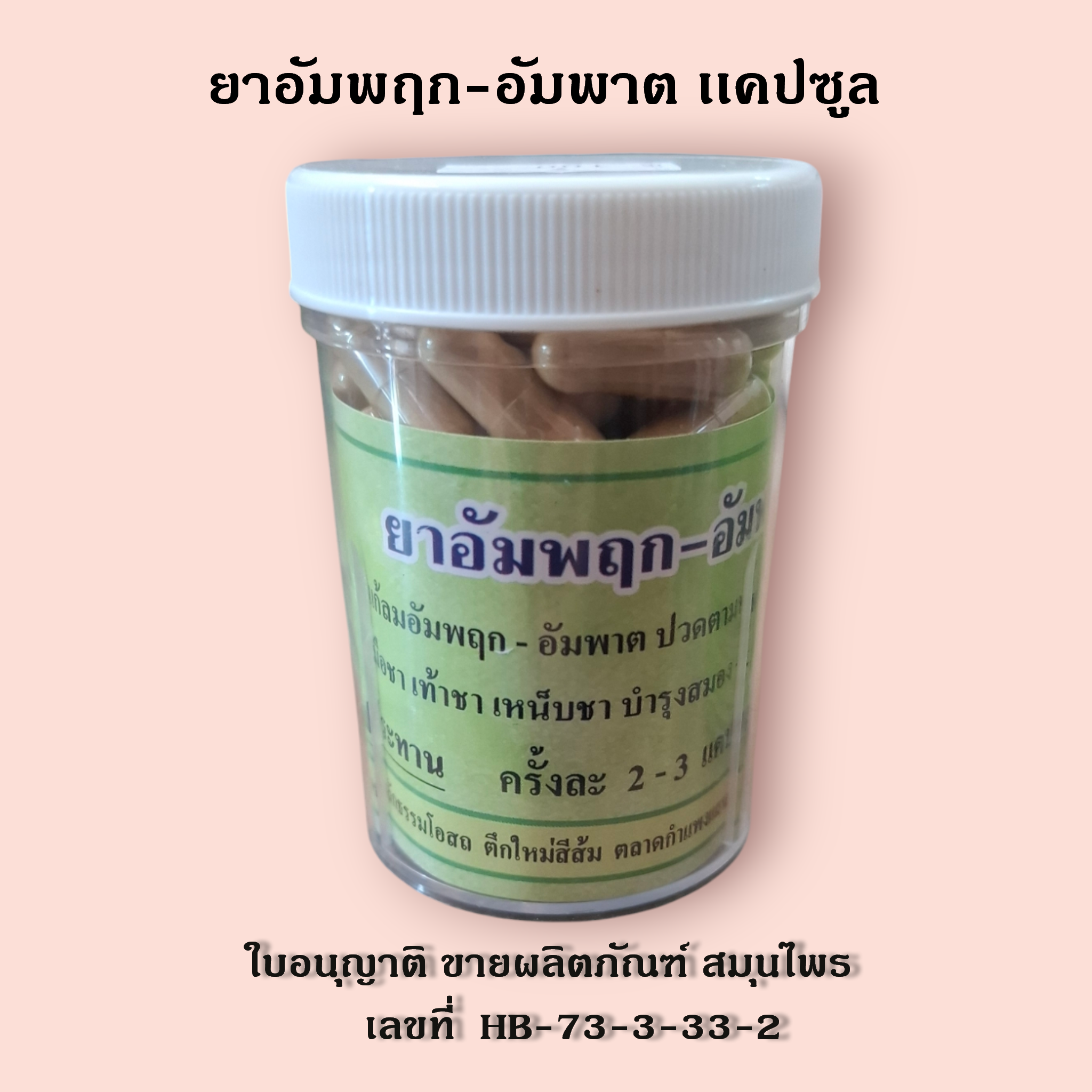 ยาแคปซูลแก้อัมพฤกษ์ อัมพาต มือเท้าชา บรรจุ 70 แคปซูล 500 mg