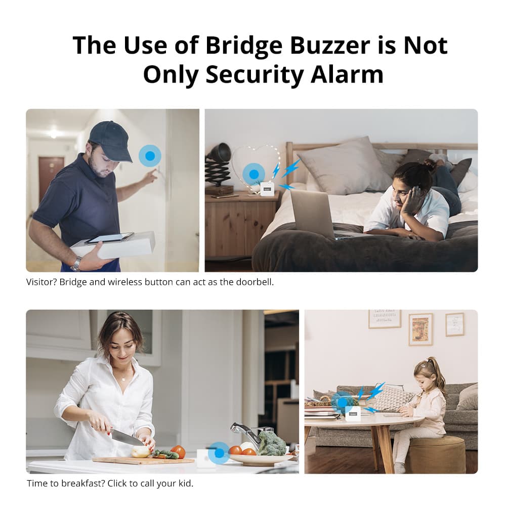 Zigbee Bridge Pro