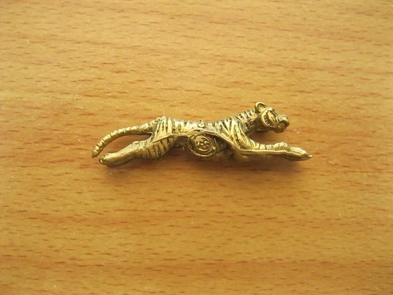 เสือทองเหลืองไม่ทราบที่ (รหัส2016)