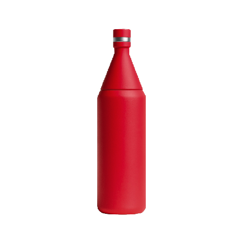 FLAKER TRAVEL BOTTLE 20 OZ