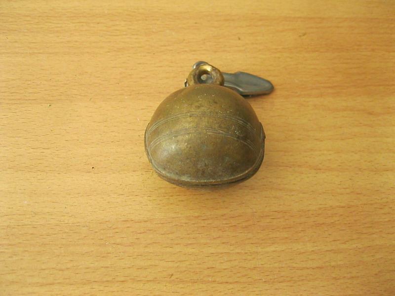 กระพวน ทองเหลือง (4172)