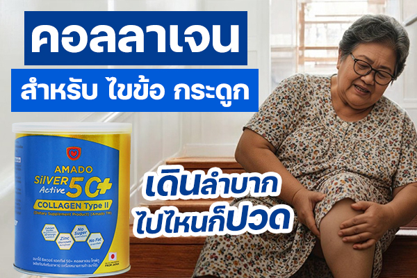 Amado Silver Active 50+ Collagen Type II อมาโด้คอลลาเจนสูตรบำรุงไขข้อ กระดูก สำหรับผู้สูงอายุโดยตรง 