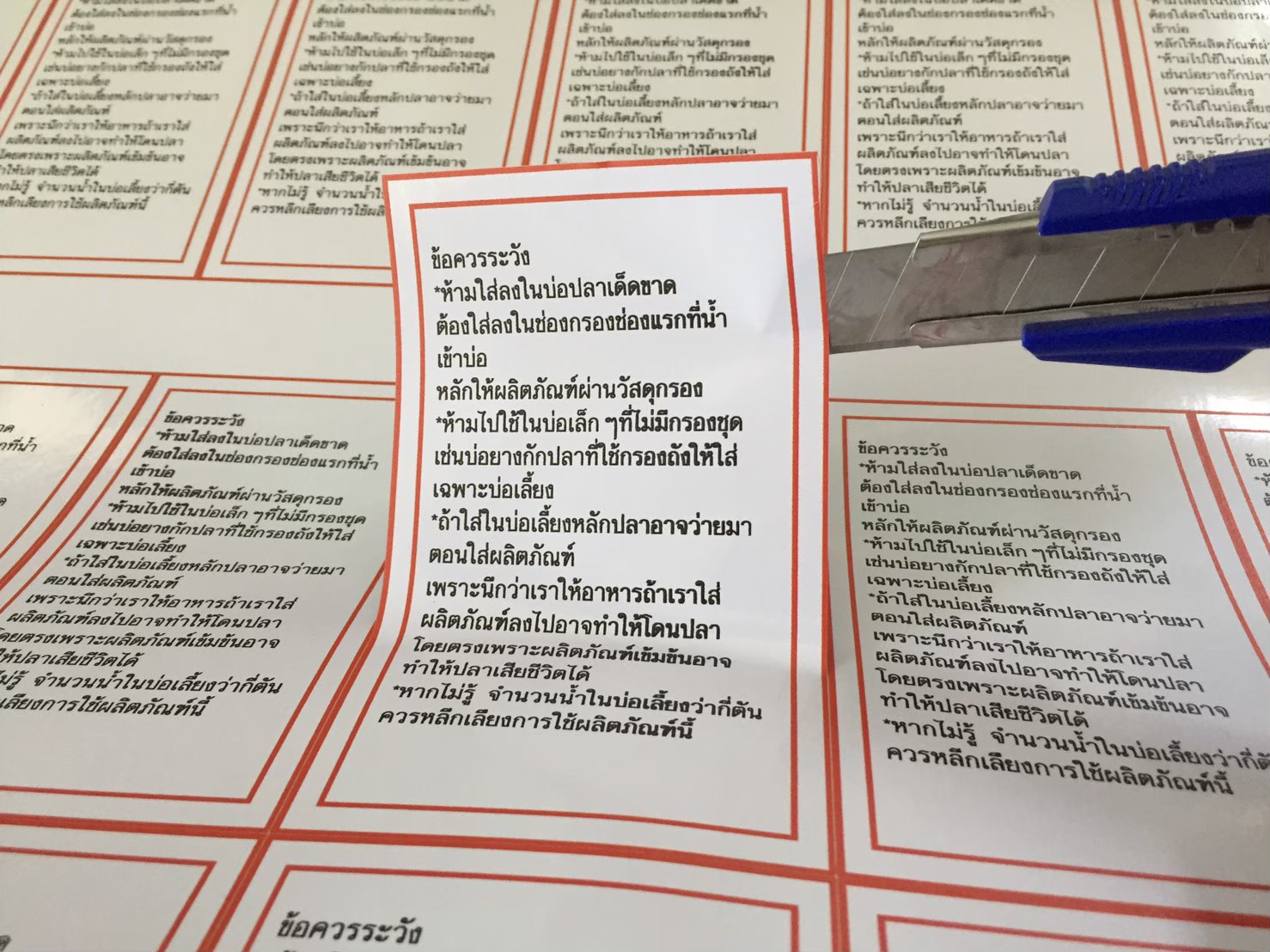 งานสติกเกอร์ไดคัท
