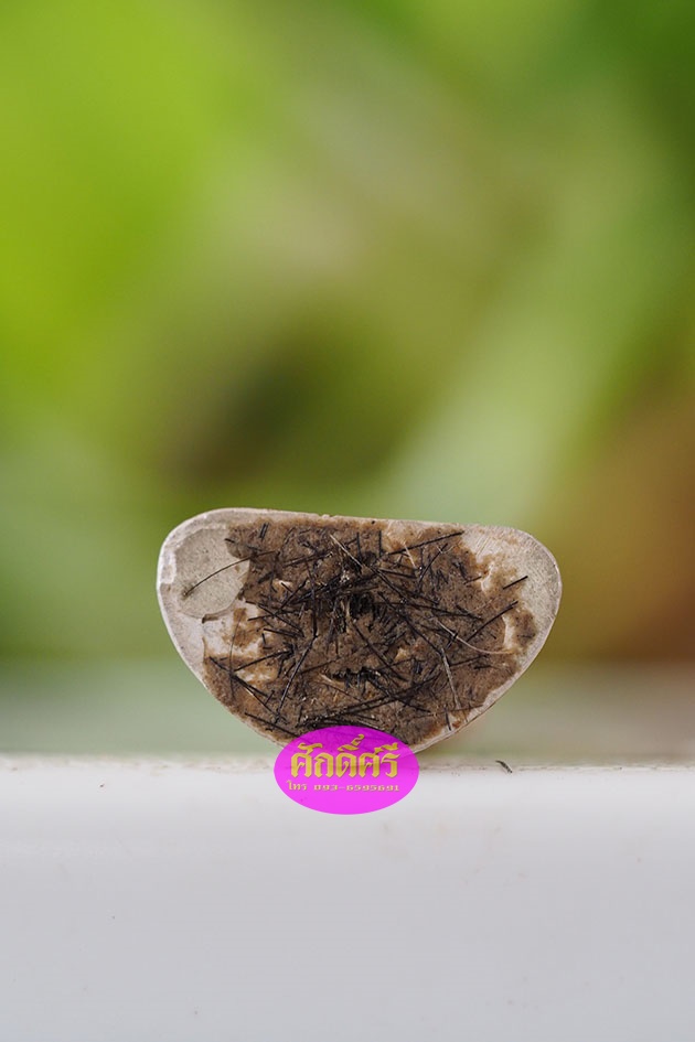 พระโลกะวิทู เนื้อเงินอุดเกศา หลวงพ่อโปร่ง โชติโก วัดถ้ำพรุตะเคียน จ.ชุมพร