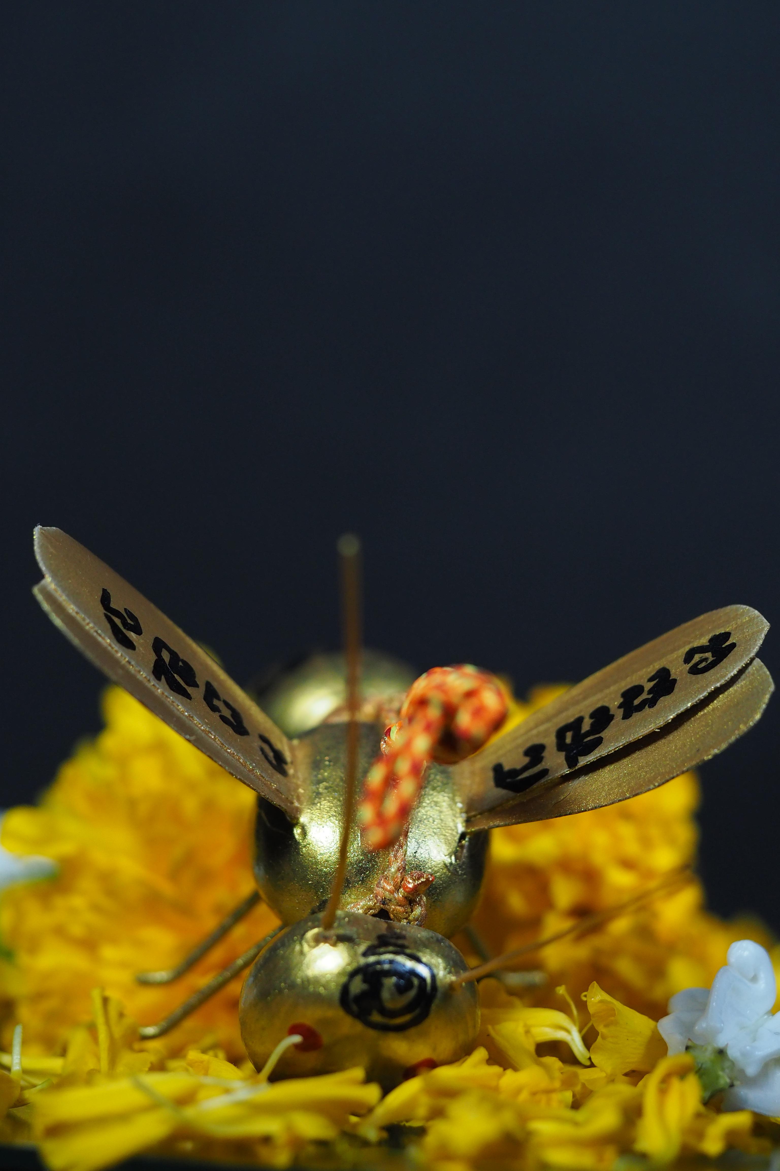 พญาต่อเงิน ต่อทอง อาจารย์ประคอง รุ่นเจริญ