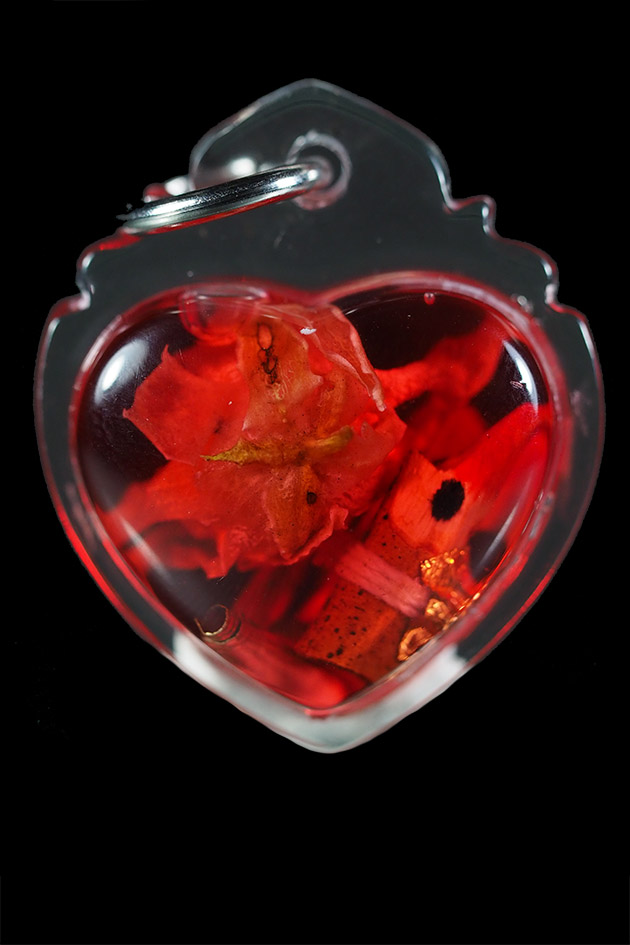 สาริกาเลี่ยมน้ำมัน นะ เมตตาจิต อาจารย์ประคอง รุ่นเจริญ