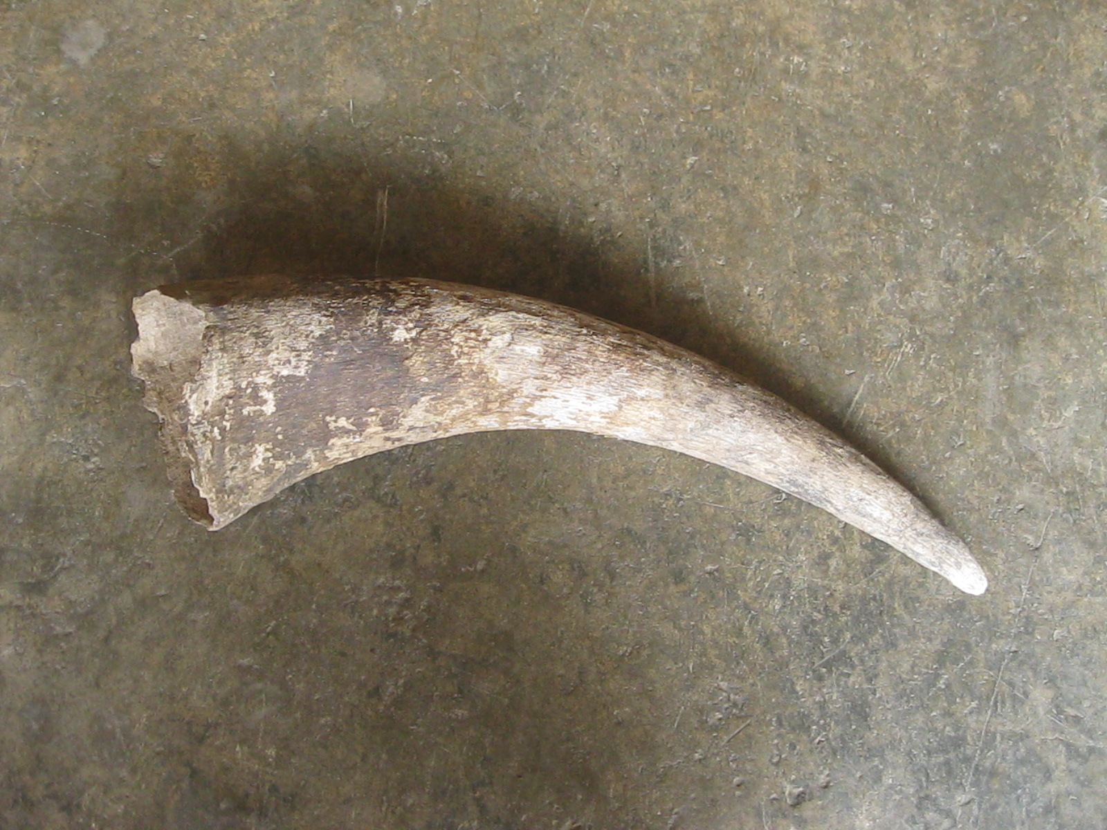 เขาควายเก่า (4902)