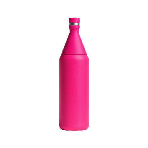 FLAKER TRAVEL BOTTLE 20 OZ