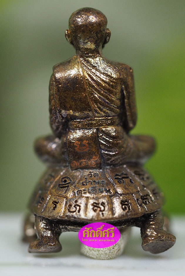 พญาเต่าเรือนมหาโภคทรัพย์ อายุยืน ๘๙ เนื้อทองแดงมันปู หลวงพ่อโปร่ง วัดถ้ำพรุตะเคียน จ.ชุมพร