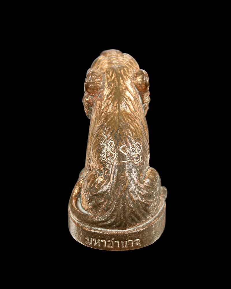 เสือมหาอำนาจ เนื้อทองแดงไม่ปลอกผิว หลวงพ่อเสือ สำนักปฏิบัติธรรมบ้านเขาปูน จ.เพชรบูรณ์