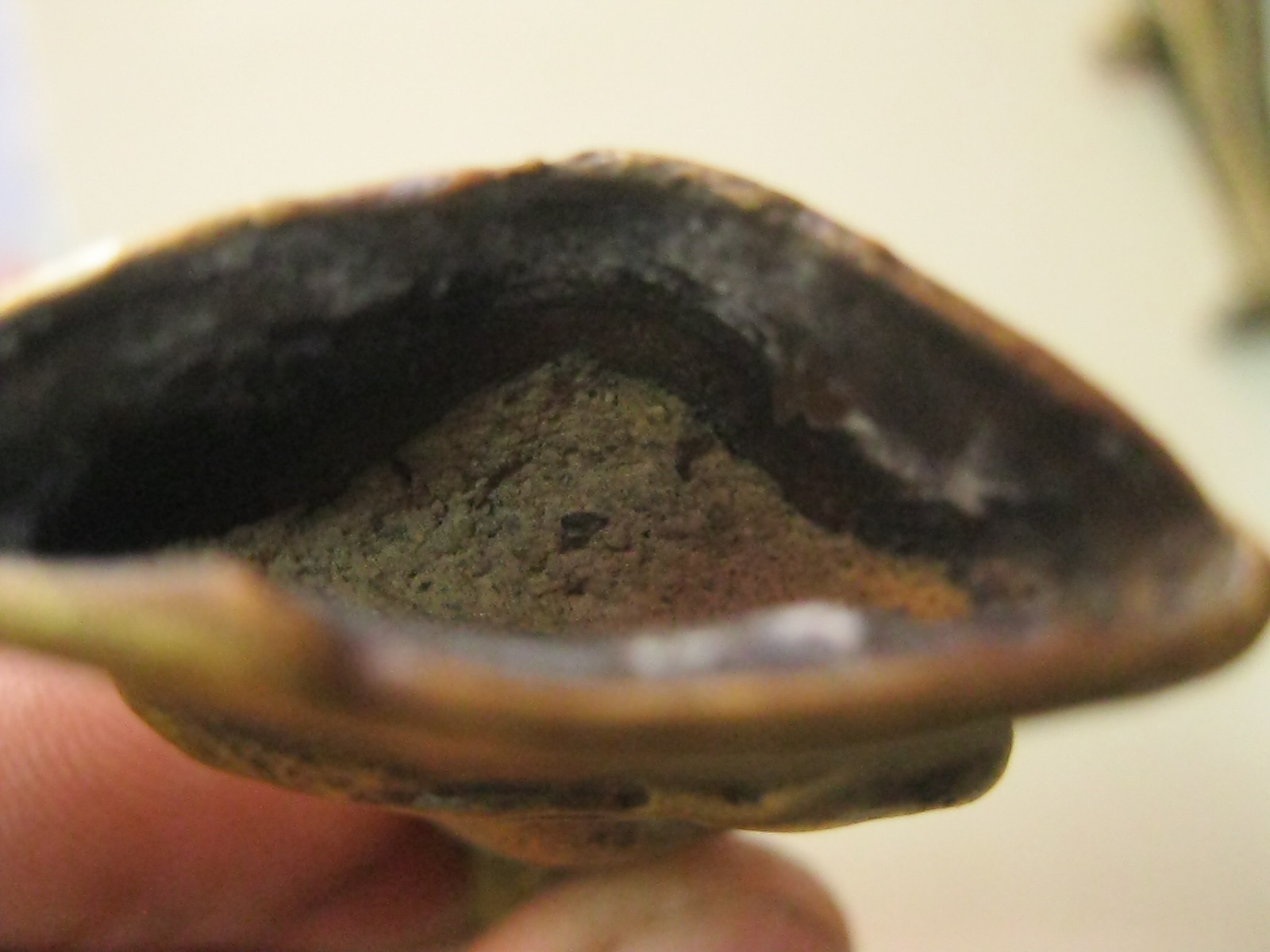 พระงั่ง (รหัส2102)