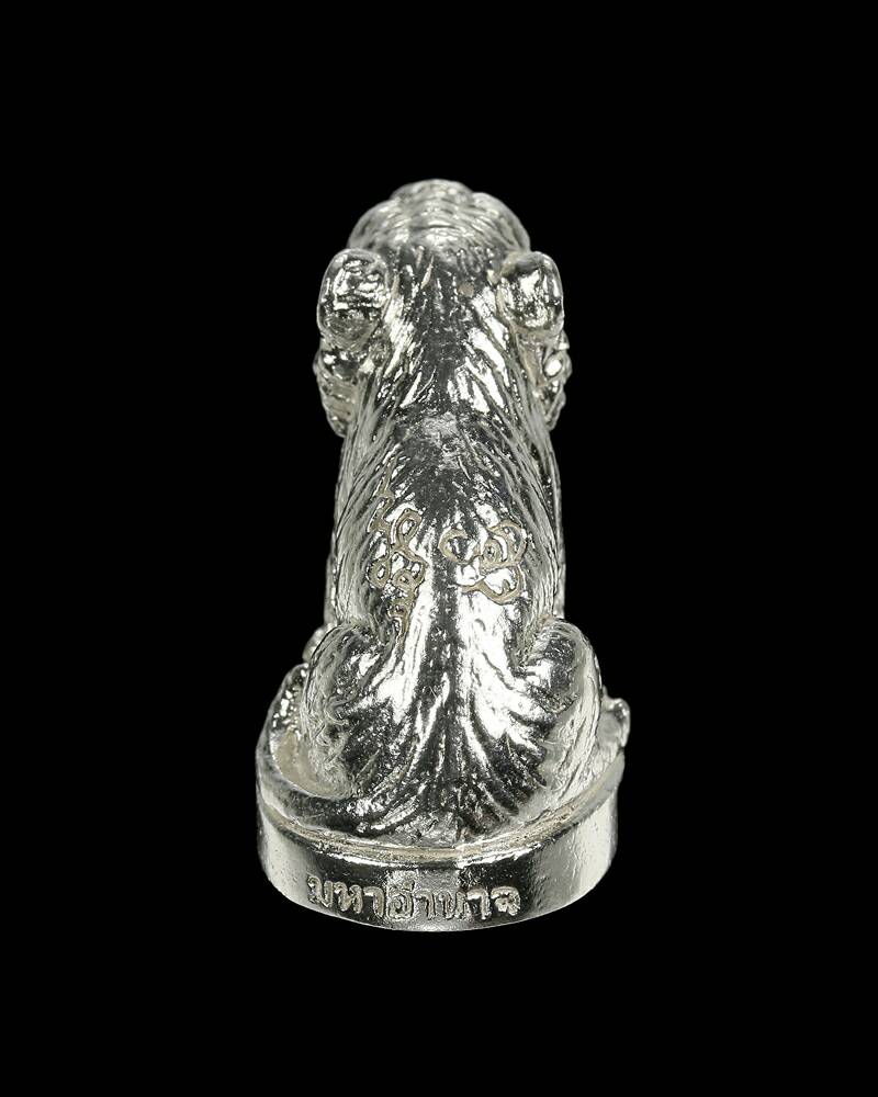 เสือมหาอำนาจ เนื้อเงิน หลวงพ่อเสือ สำนักปฏิบัติธรรมบ้านเขาปูน จ.เพชรบูรณ์