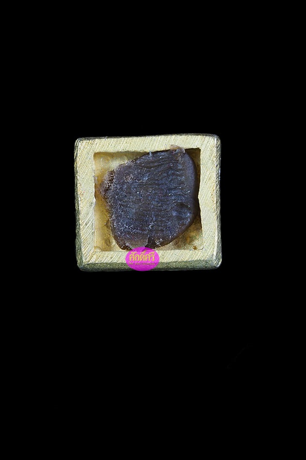 พญาครุฑ รุ่นมหาธนสารสมบัติ(เจ้าสัว) หลวงพ่อโปร่ง วัดถ้ำพรุตะเคียน จ.ชุมพร เนื้อกะไหล่ทอง