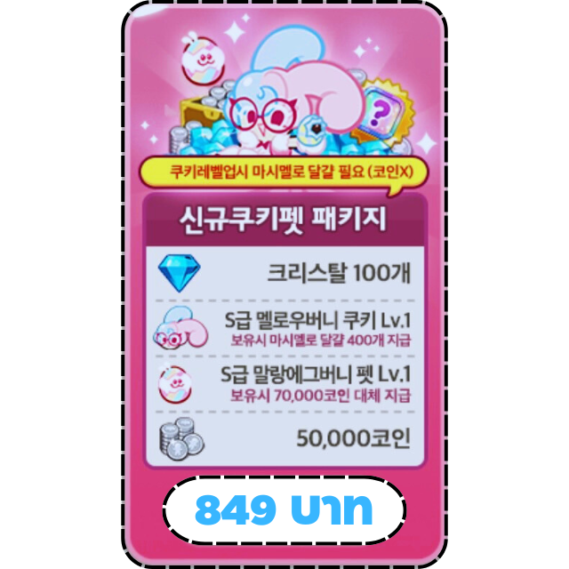แพ็คเกจคุกกี้และสัตว์เลี้ยง [ Mellow Bunny Cookie & Malrang Eggbunny Pet ]