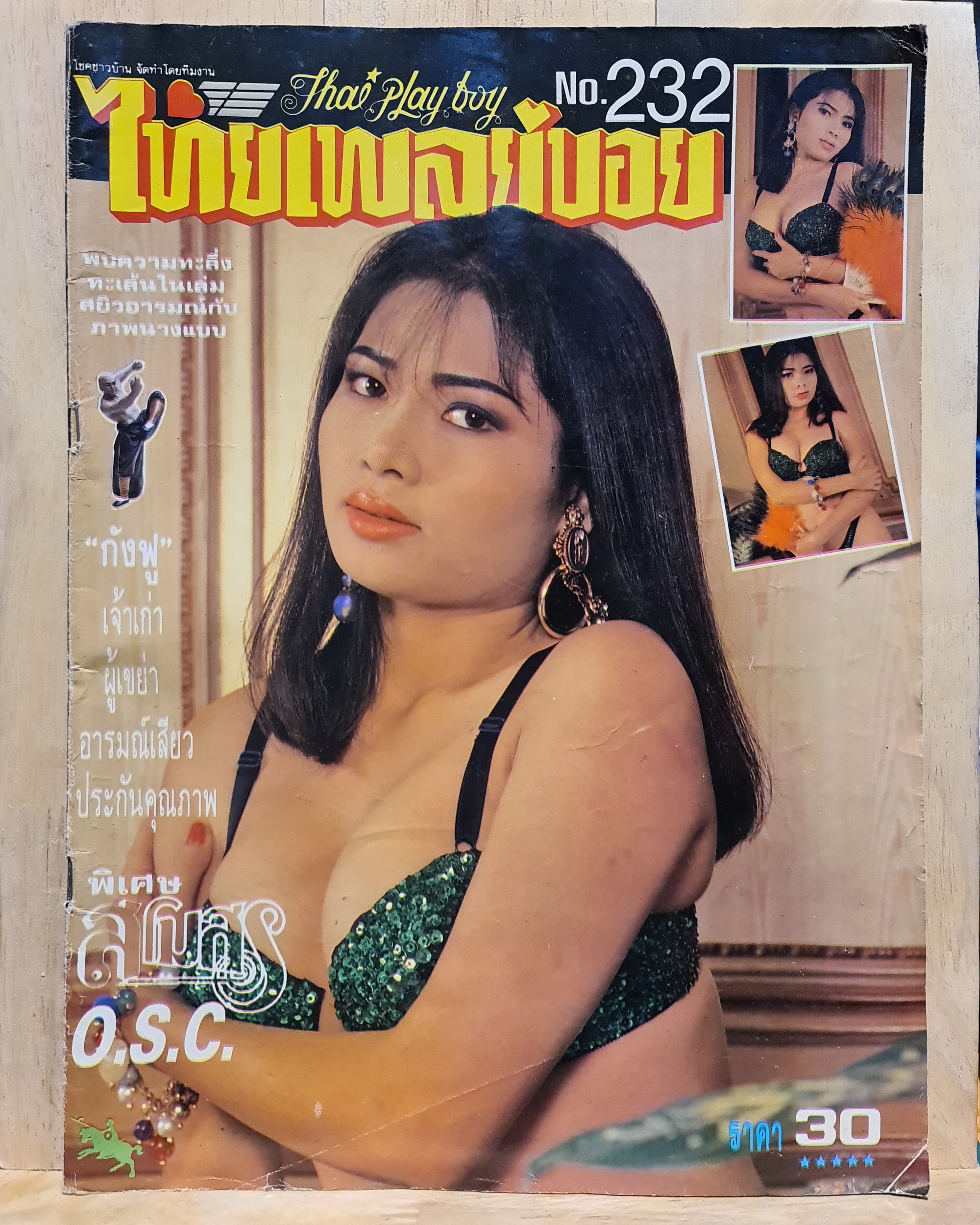 นิตยสาร ไทยเพลย์บอย No.232 โดยกังฟู