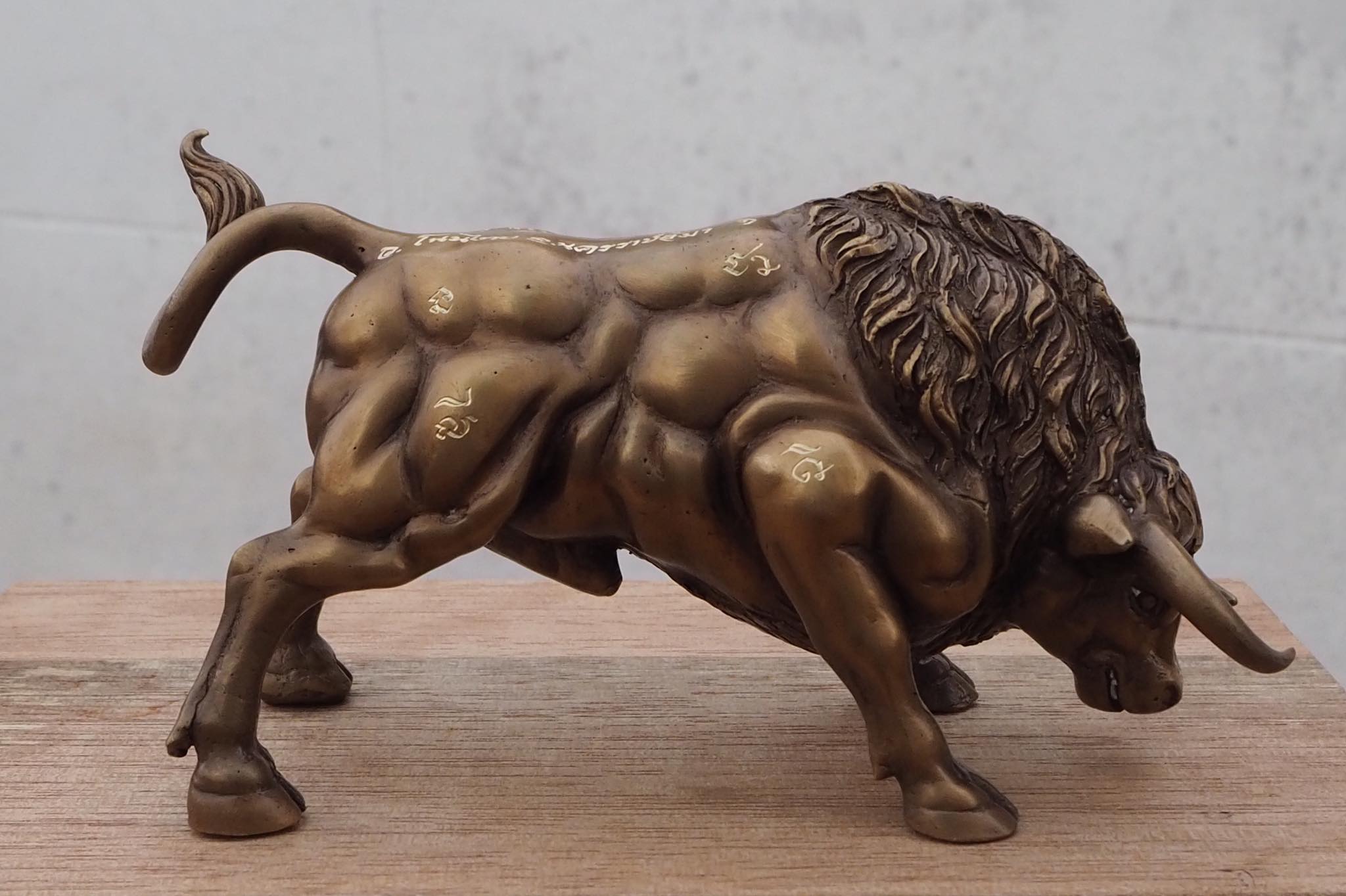 กระทิงมหาอำนาจ จ้าวมันปู วัดบ้านอ้อ อ.โนนไทย จ.นครราชสีมา