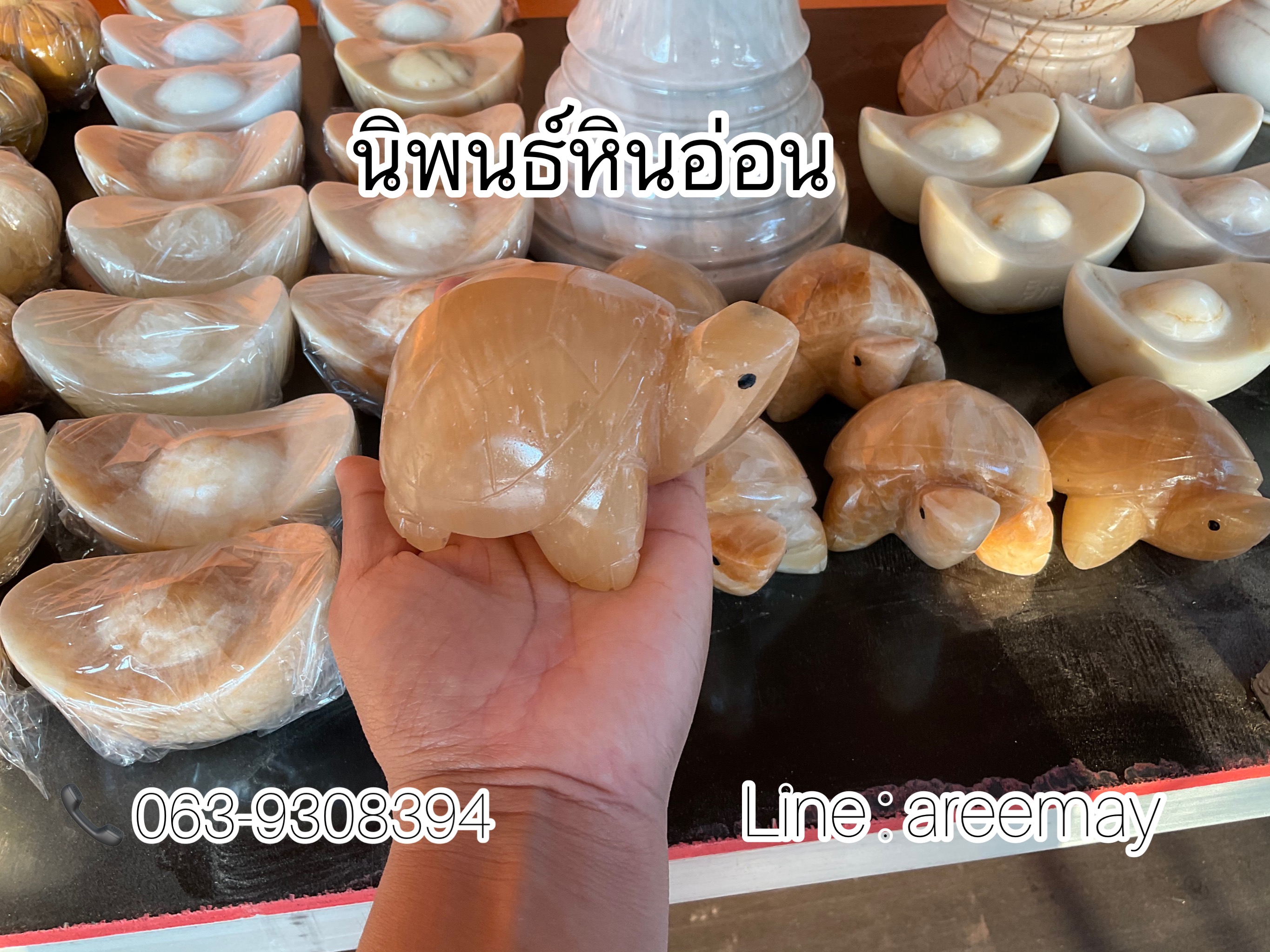 เต่า หินอ่อนสีน้ำผึ้ง