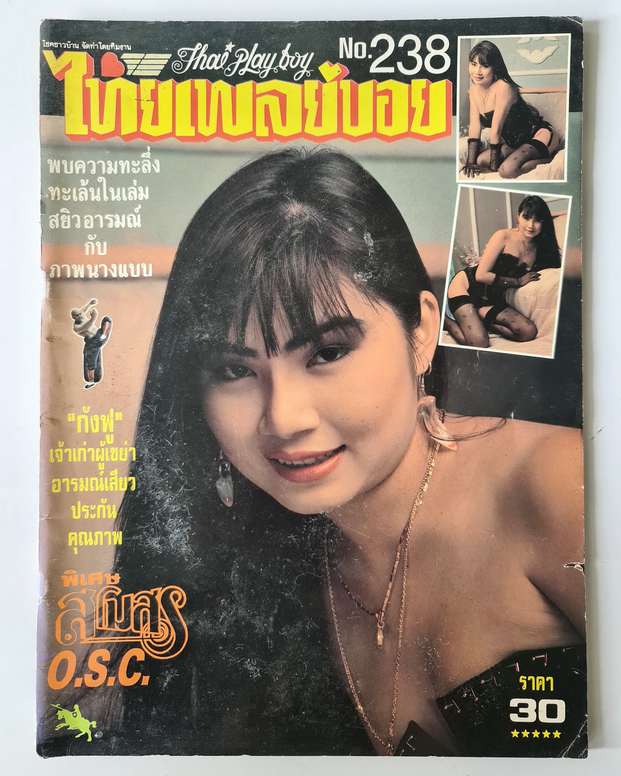 นิตยสาร ไทยเพลย์บอย No.238 โดยกังฟู