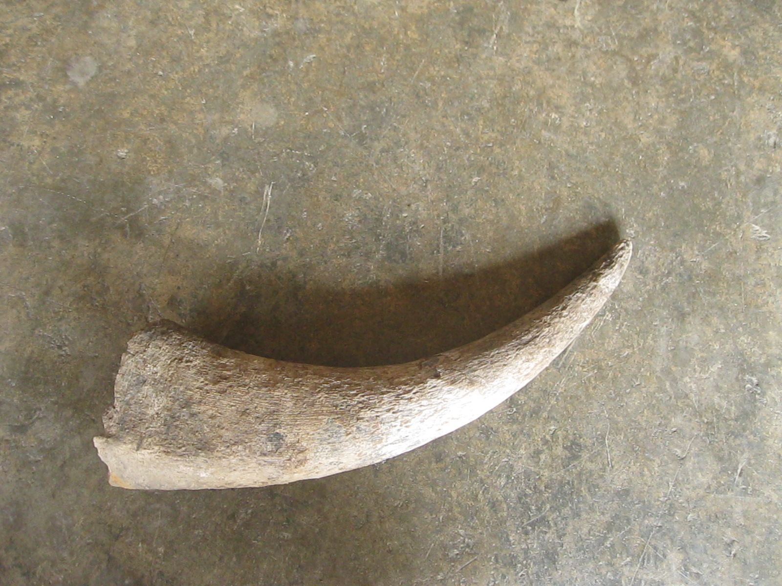 เขาควายเก่า (4902)