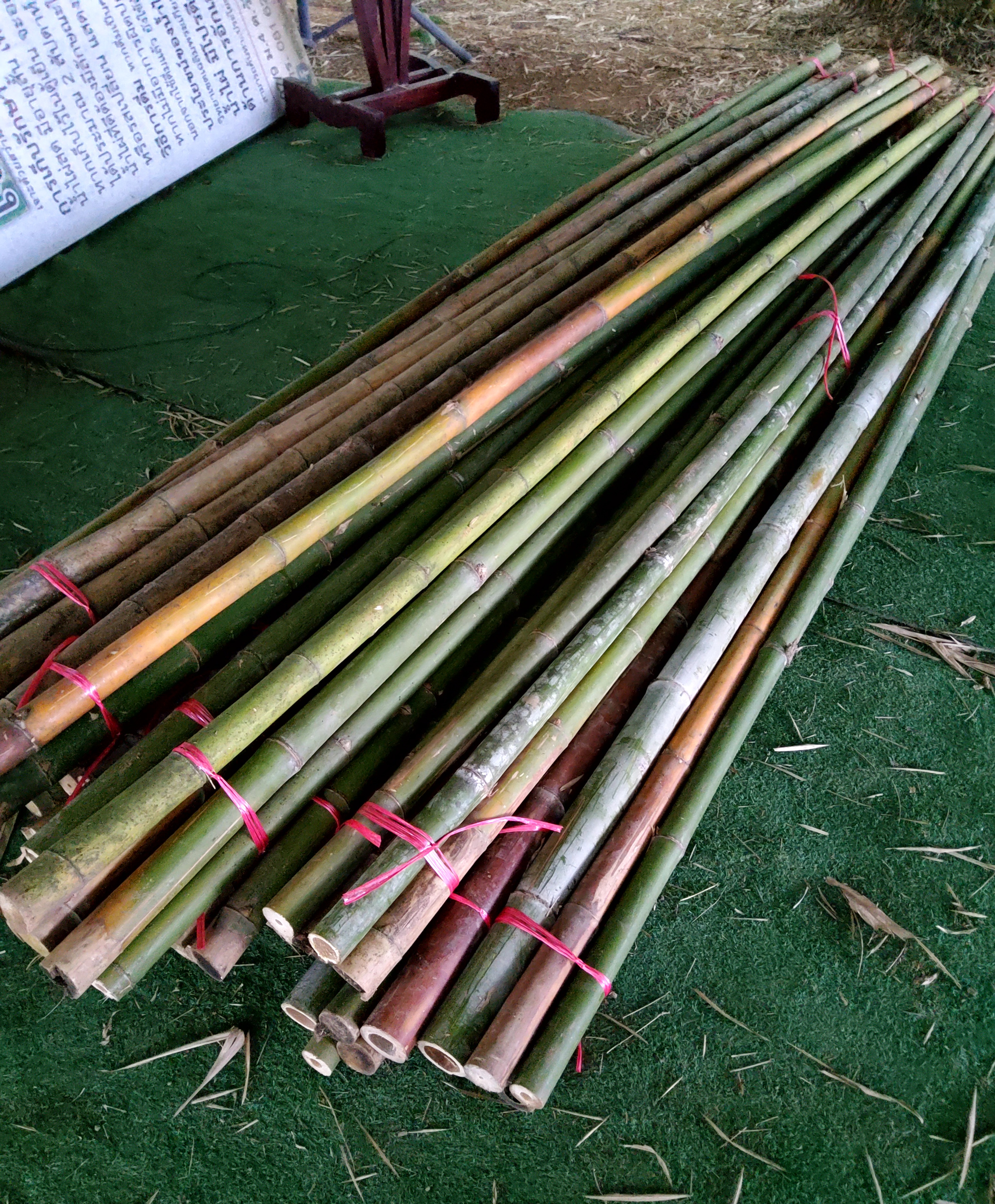 ไม้ไผ่ ยาว 3 เมตร ลำไผ่เลี้ยง ลำไผ่ตัน