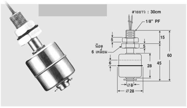 ลูกลอยสแตนเลส