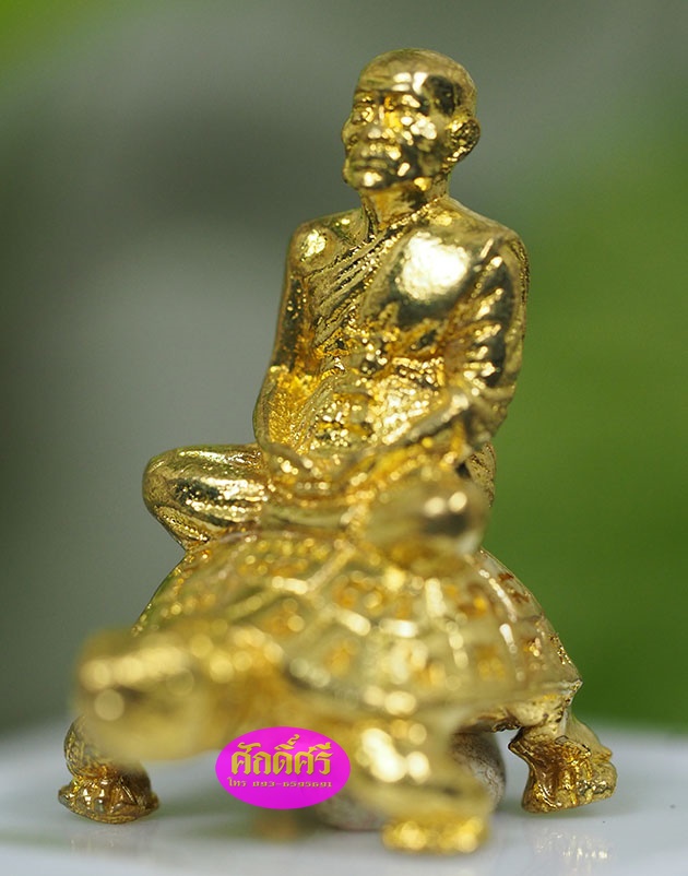 พญาเต่าเรือนมหาโภคทรัพย์ อายุยืน ๘๙ เนื้อทองทิพย์ หลวงพ่อโปร่ง วัดถ้ำพรุตะเคียน จ.ชุมพร