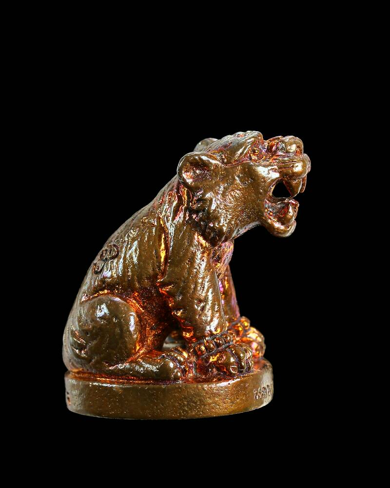 เสือมหาอำนาจ เนื้อทองแดงไม่ปลอกผิว หลวงพ่อเสือ สำนักปฏิบัติธรรมบ้านเขาปูน จ.เพชรบูรณ์