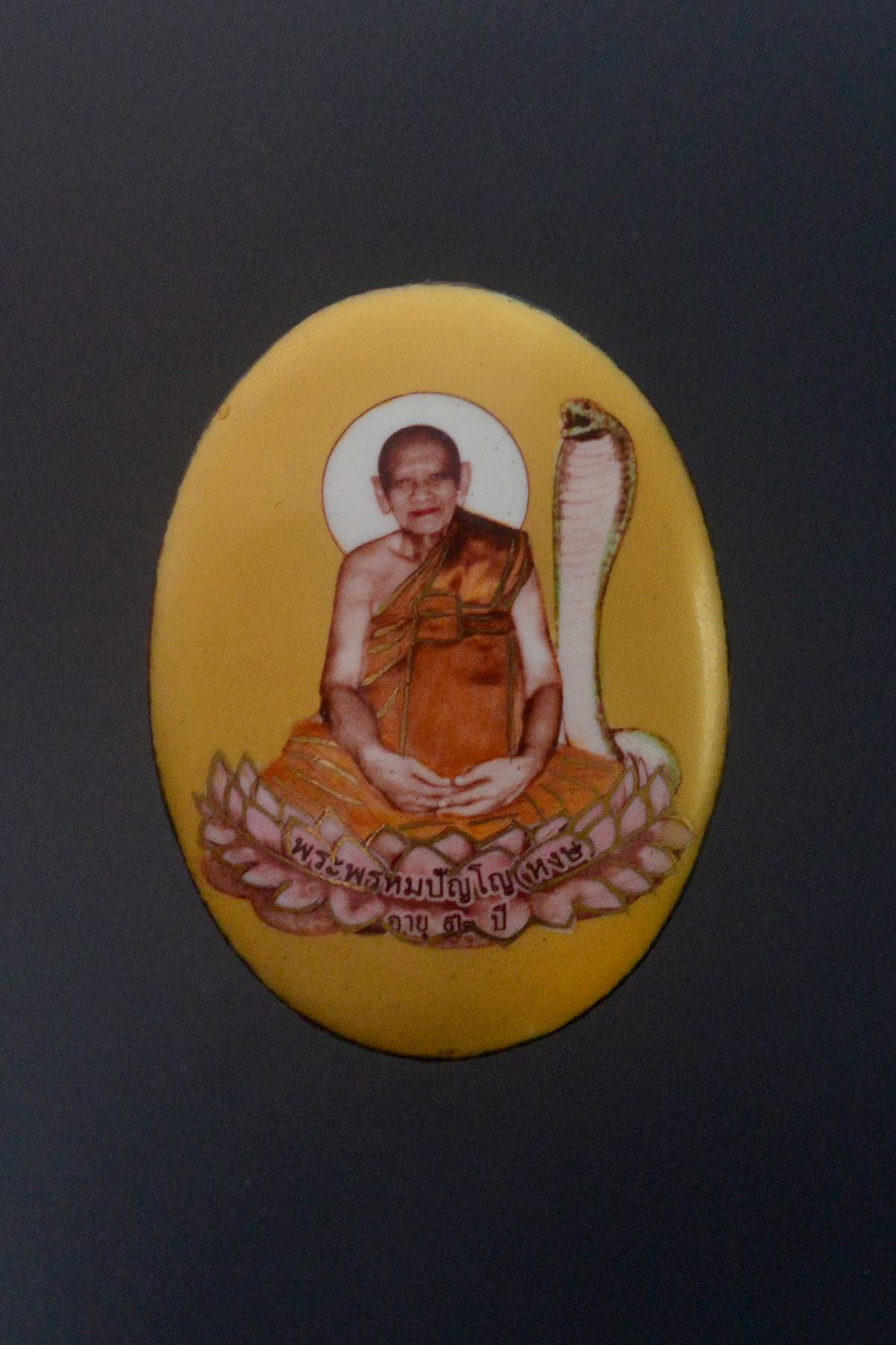 ล็อกเก็ต เสาร์๕ มหามงคล หลวงปู่หงษ์ พรหมปัญโญ