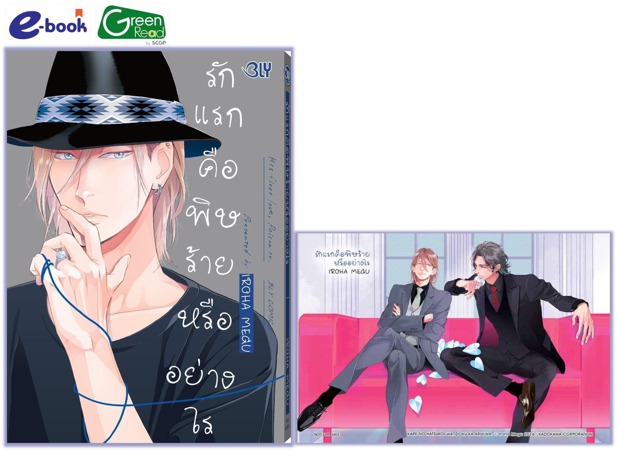 รักแรกคือพิษร้ายหรืออย่างไร (เล่มเดียวจบ)