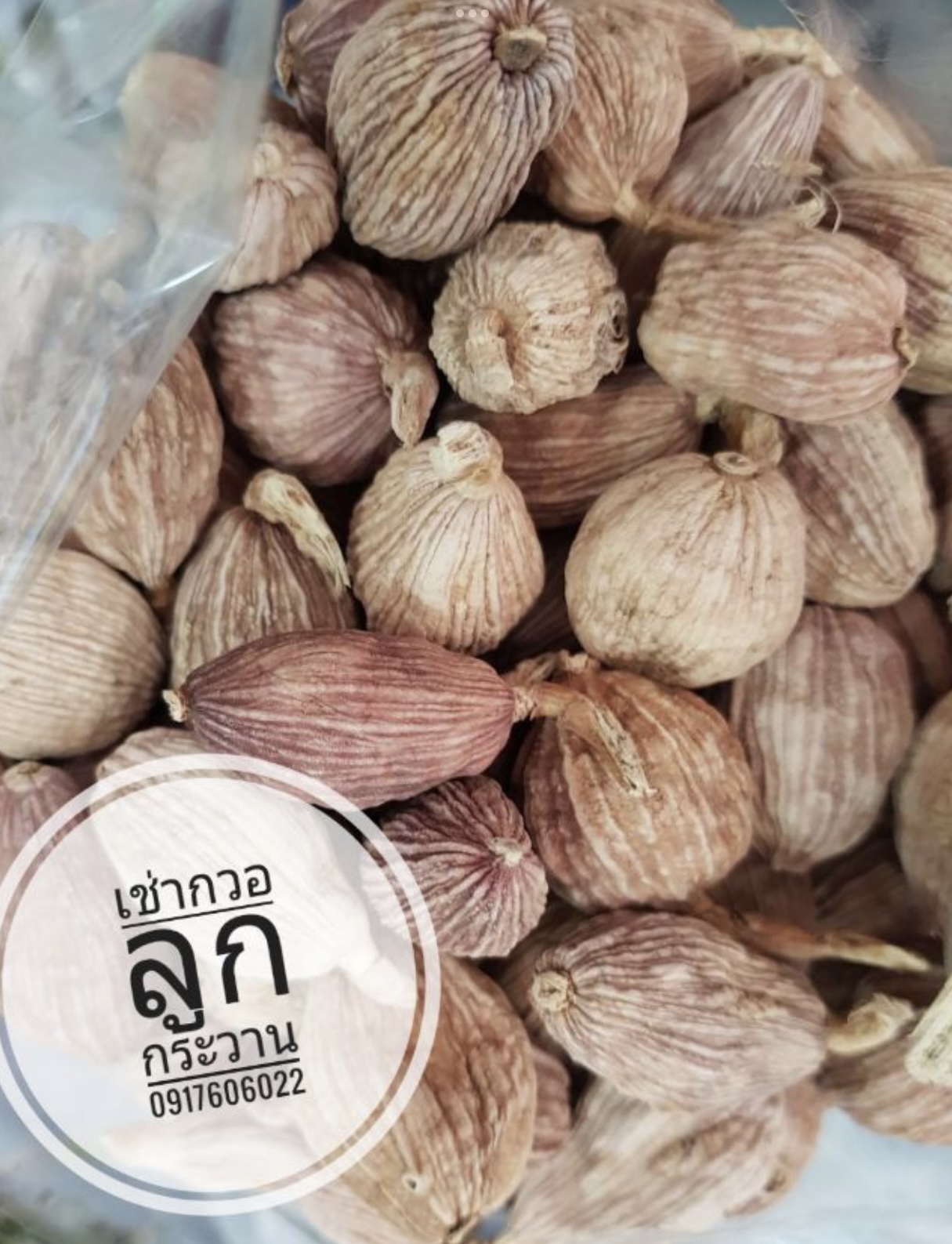 เม็ดชะโก ชะโก เฉากว่อ เฉากวอ ลูกกระวาน เฉ่าโก่ว ลูกเฉาก๊วย เช่ากวอ ลูกกระวานเทศ กระวานเทศ กระวานดำ กระวานขาว ผงกระวาน ผงชะโก Black Cardamom 草果 草果粉 คัดพิเศษ คุณภาพดี