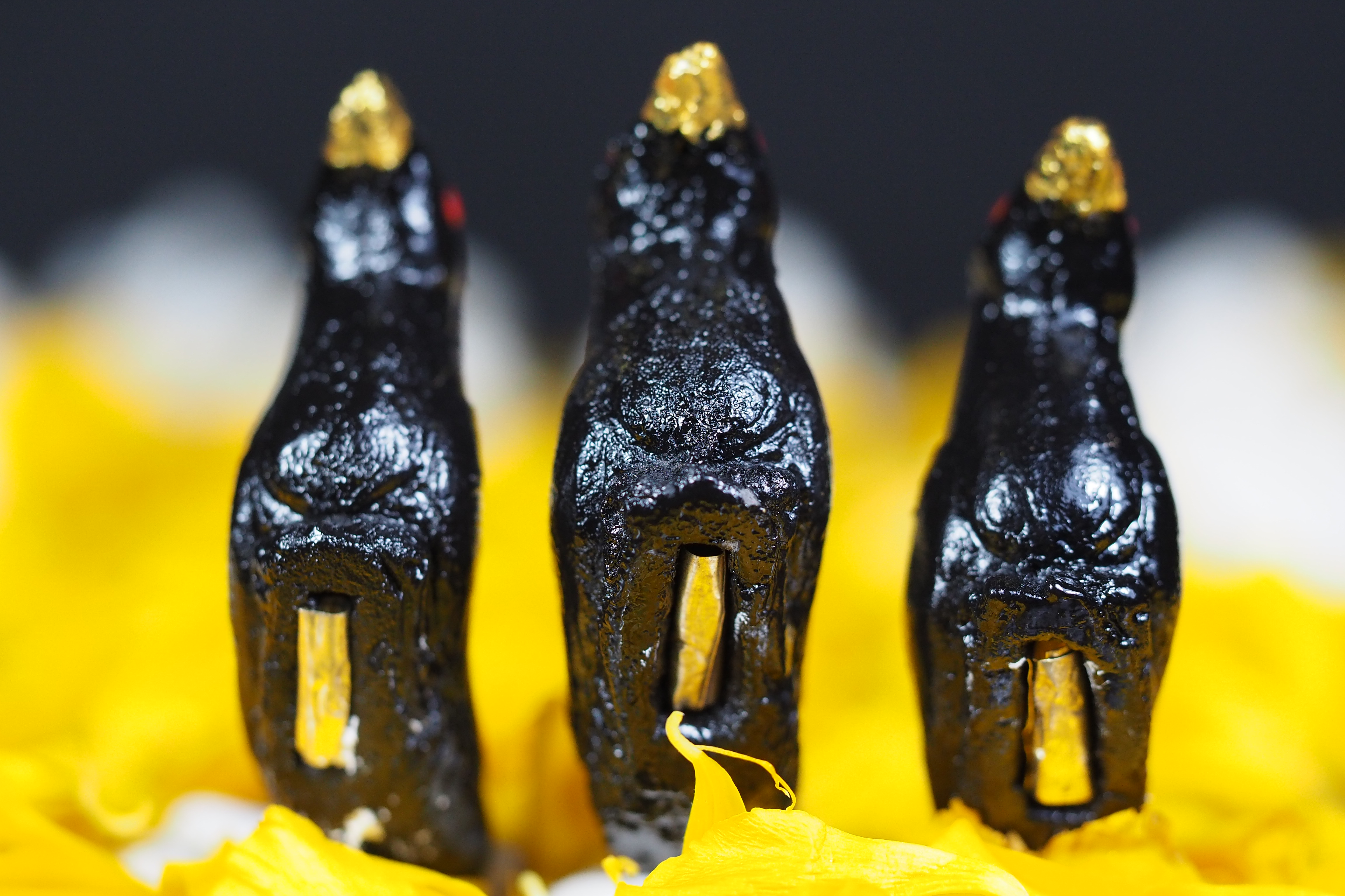 สาลิกามหาลาภ อาจารย์ประคอง รุ่นเจริญ