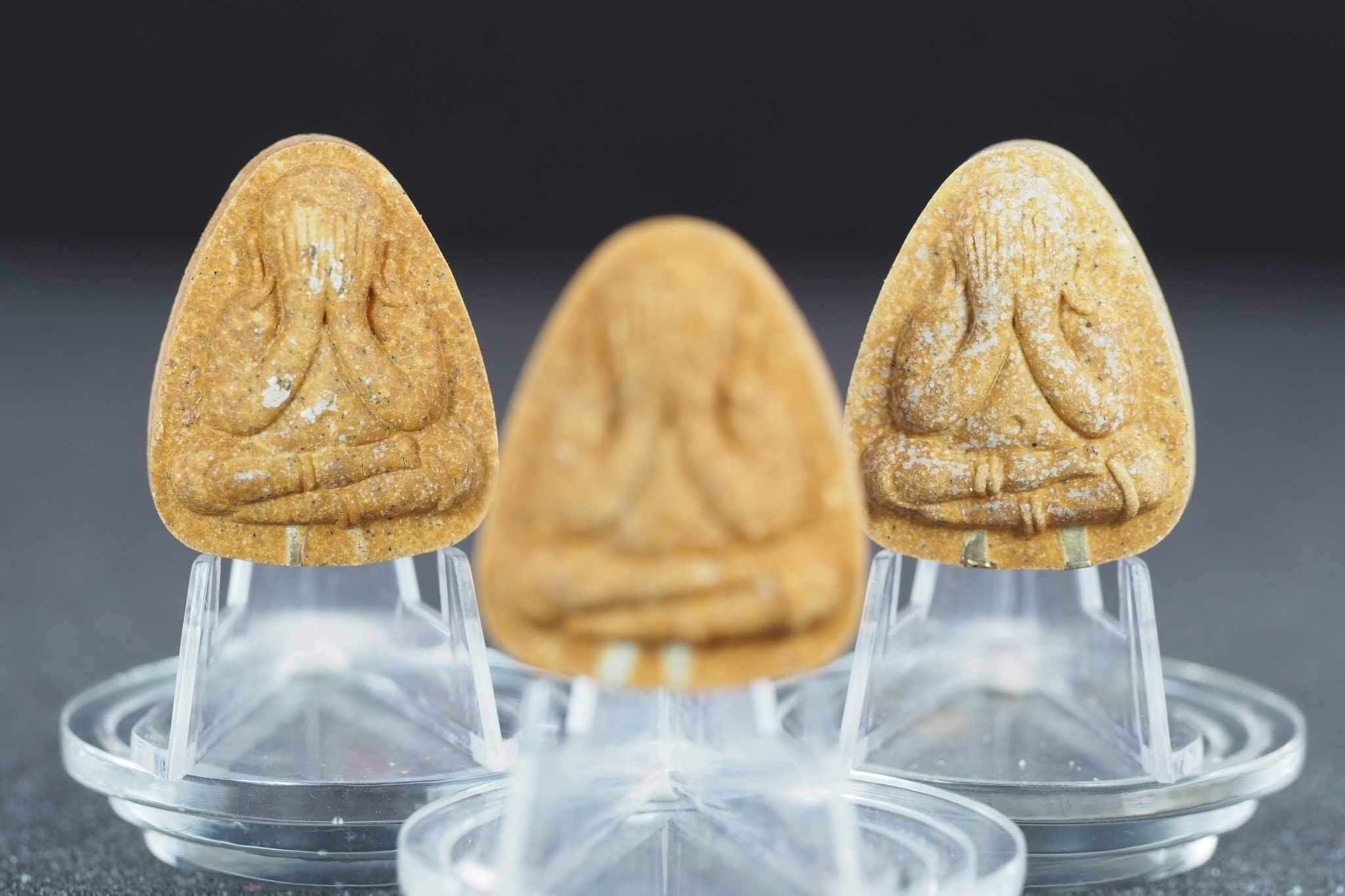 พระปิดตาพิมพ์ปลดหนี้หลวงปู่โต๊ะ เนื้อเกสรฝังตะกรุดเงินแท้ 2 ดอก หลังยันต์นะ รุ่นสร้างโบสถ์วัดบ้านอ้อ