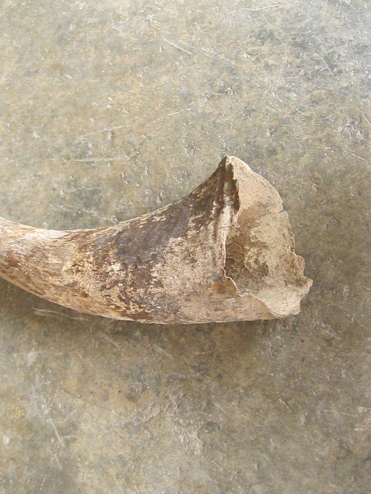 เขาควายเก่า (4902)