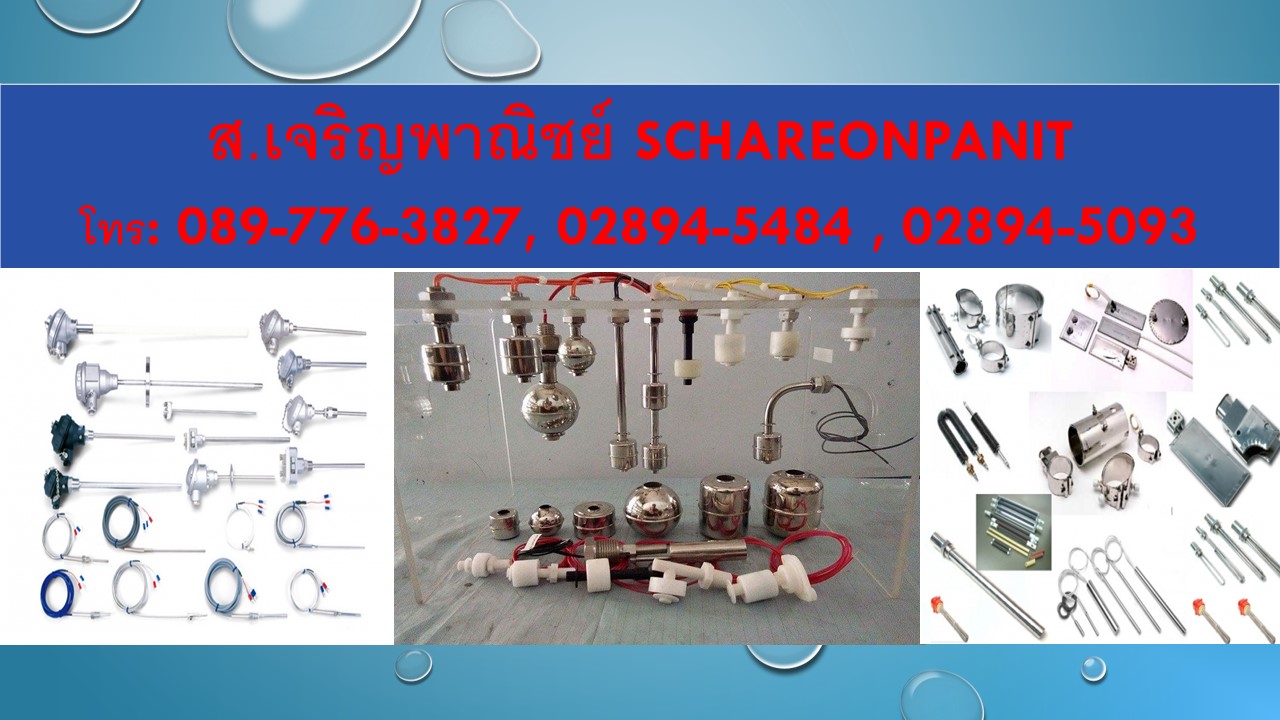 S.chareonpanit
