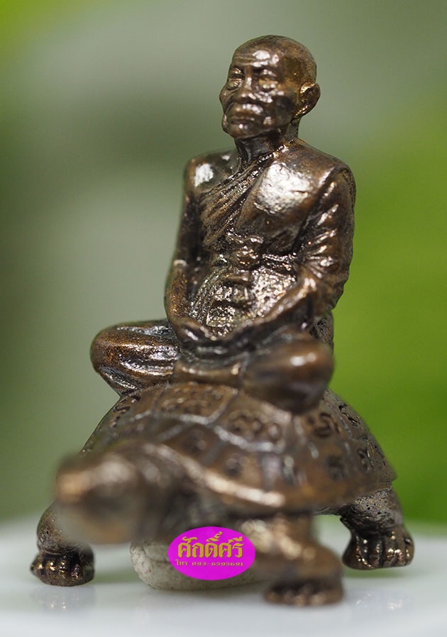 พญาเต่าเรือนมหาโภคทรัพย์ อายุยืน ๘๙ เนื้อทองแดงมันปู หลวงพ่อโปร่ง วัดถ้ำพรุตะเคียน จ.ชุมพร