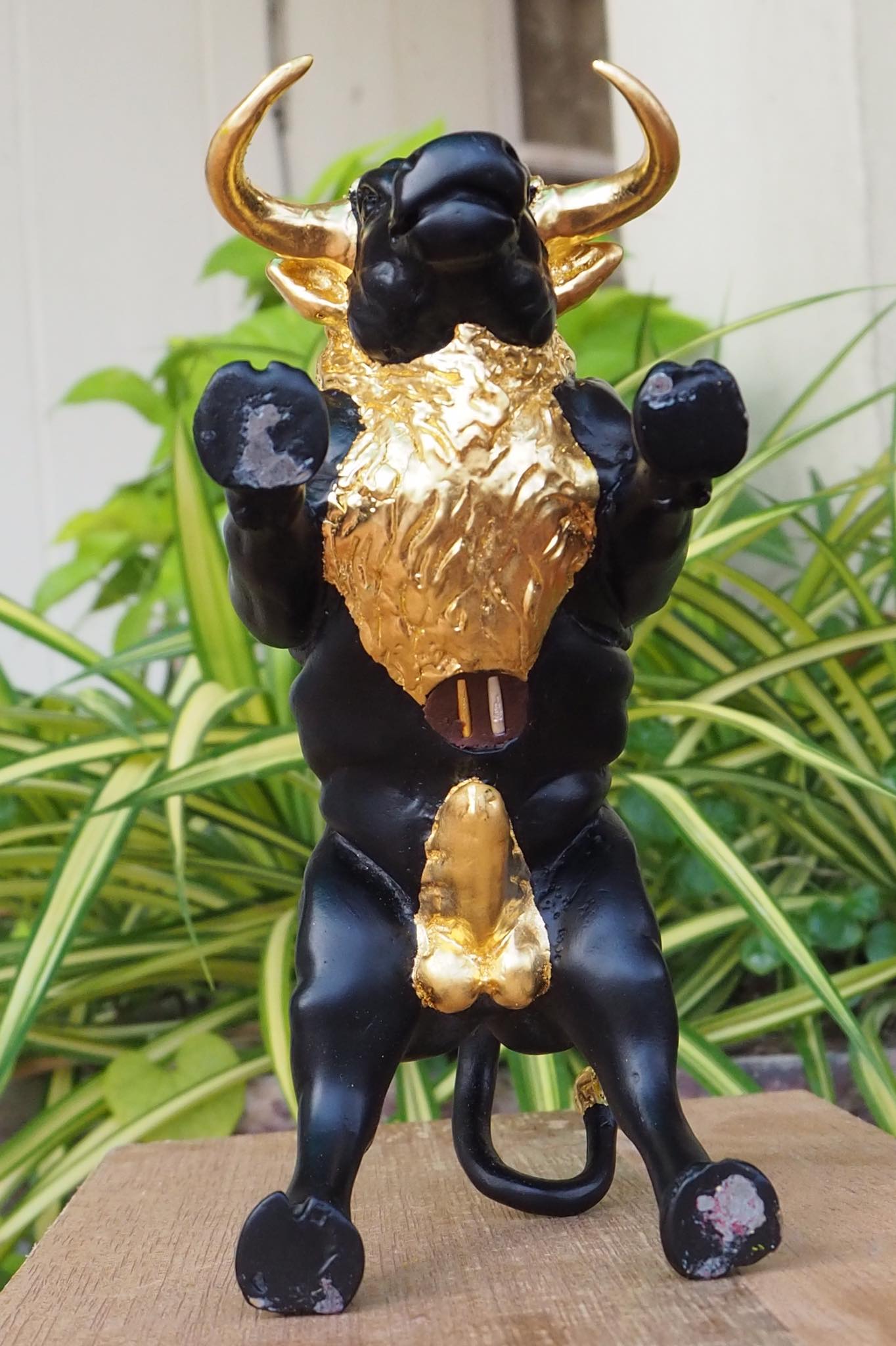 กระทิงมหาอำนาจ ขนาดบูชา จ้าวทองดำ วัดบ้านอ้อ จ.นครราชสีมา