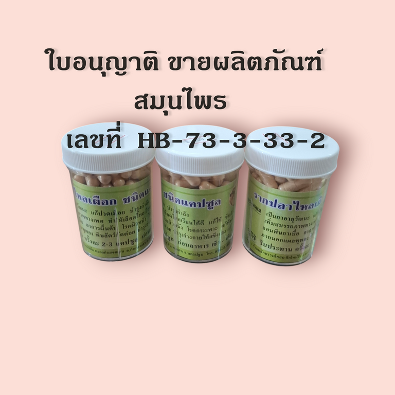 รากปลาไหลเผือก (ชนิดแคปซูล )