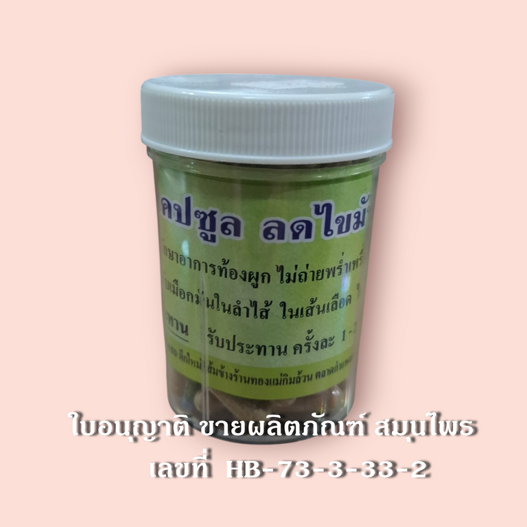 สมุนไพร ลดไขมัน ลดน้ำหนัก ชนิดแคปซูล ขนาด 250 mg 100 แคปซูล