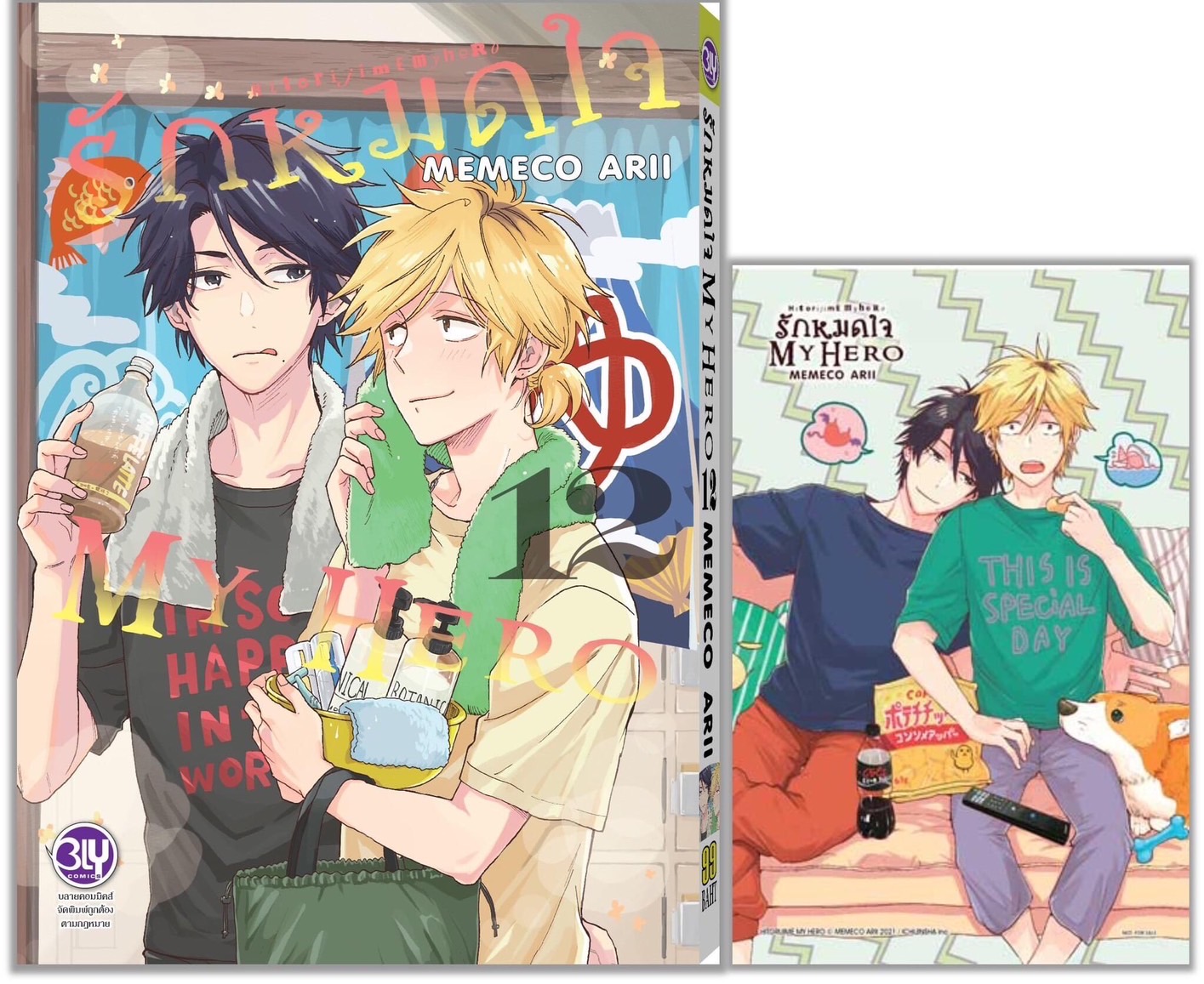 รักหมดใจ My Hero เล่ม 12
