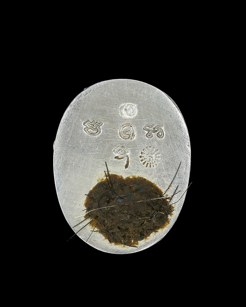 เสือมหาอำนาจ เนื้อเงิน หลวงพ่อเสือ สำนักปฏิบัติธรรมบ้านเขาปูน จ.เพชรบูรณ์