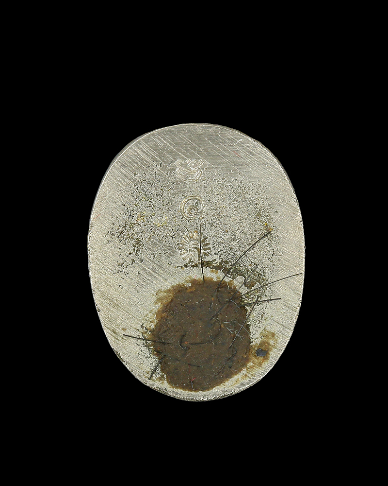 เสือมหาอำนาจ เนื้อทองขาว หลวงพ่อเสือ สำนักปฏิบัติธรรมบ้านเขาปูน จ.เพชรบูรณ์