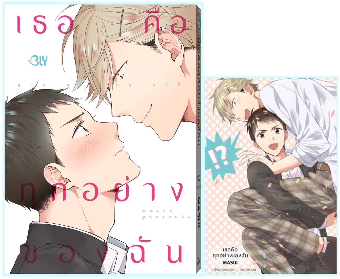 เธอคือทุกอย่างของฉัน (เล่มเดียวจบ)
