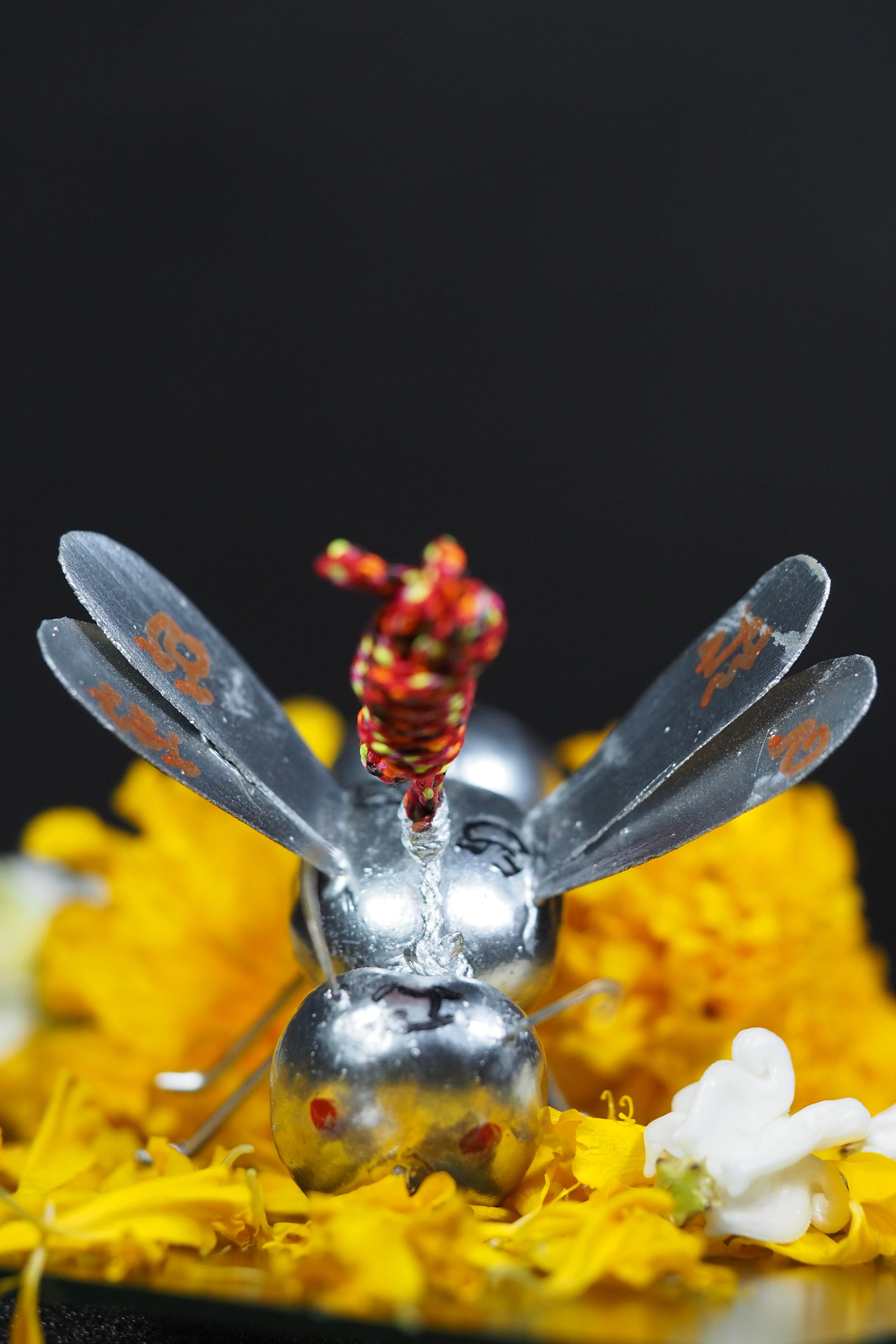 พญาต่อเงิน ต่อทอง อาจารย์ประคอง รุ่นเจริญ