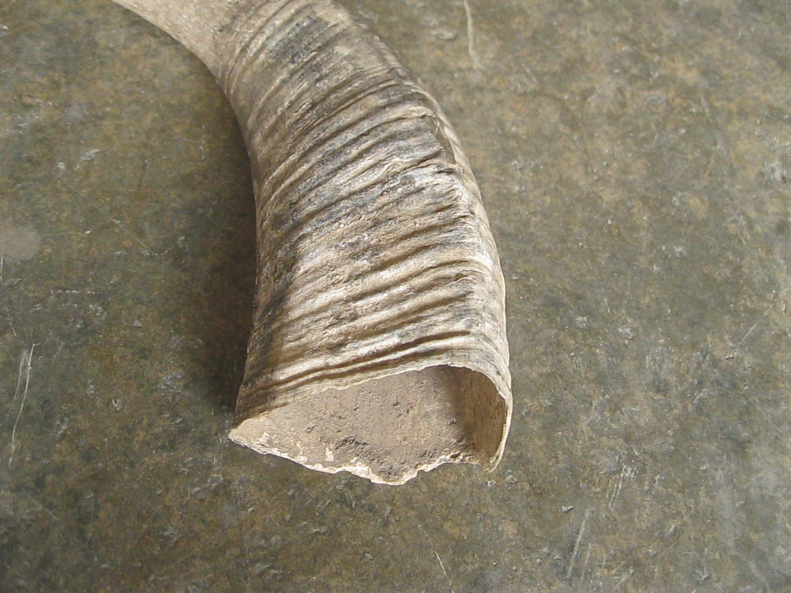 เขาควายเก่า (4903)