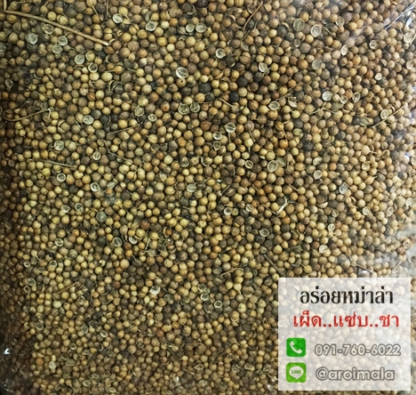 ลูกผักชี เม็ดผักชี คุณภาพอย่างดี หอมมาก